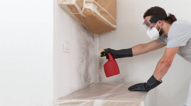 Professional Mold Removal technician working in Millburn, NJ