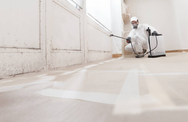 24/7 Emergency Mold Removal experts in Millburn, NJ