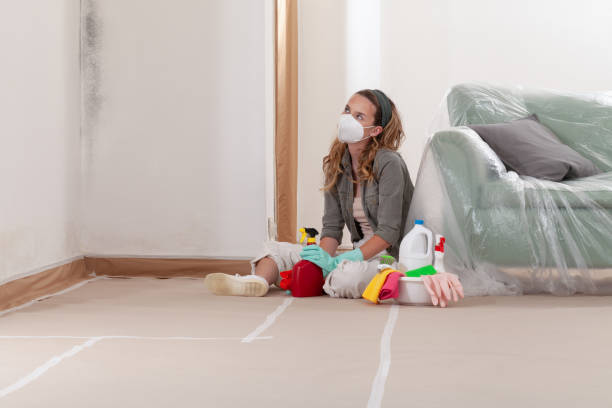Reliable Mold Removal contractor in Millburn, NJ by Mold Remediation HQ